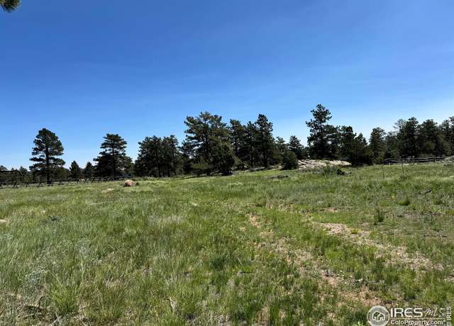 Property at 62 White Slide Mountain Ct, Livermore, CO 80536