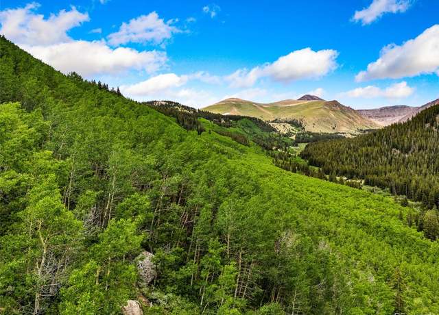 Property at 999 Cr-6, Leadville, CO 80461