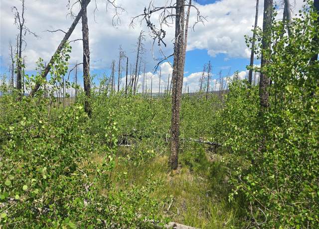 Property at 1460 & 1470 Von Hyle Ln, Fort Garland, CO 81133