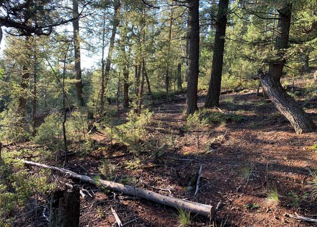 Property at 12907 S Cindy Ave, Pine, CO 80470