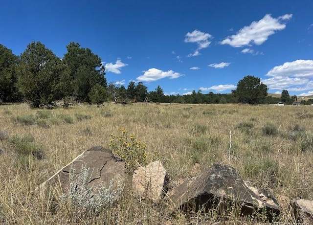 Property at 000 29th Trail & L Path, Cotopaxi, CO 81223