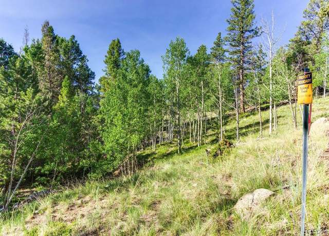 Property at 183 Cheyenne Trl, Lake George, CO 80827