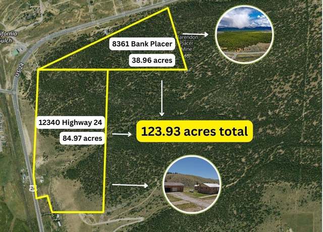 Property at 8361 Bank Placer, Leadville, CO 80461