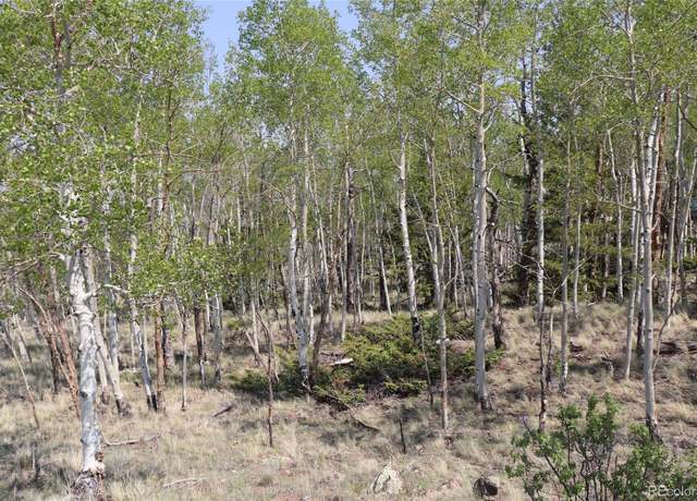 Property at 687 Corral Rd, Hartsel, CO 80449