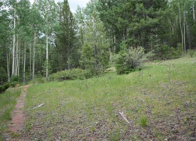 Property at 1406 Monarch Dr, Cripple Creek, CO 80813