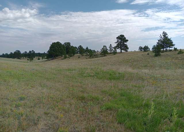 Property at 5335 County Road 82, Elbert, CO 80106