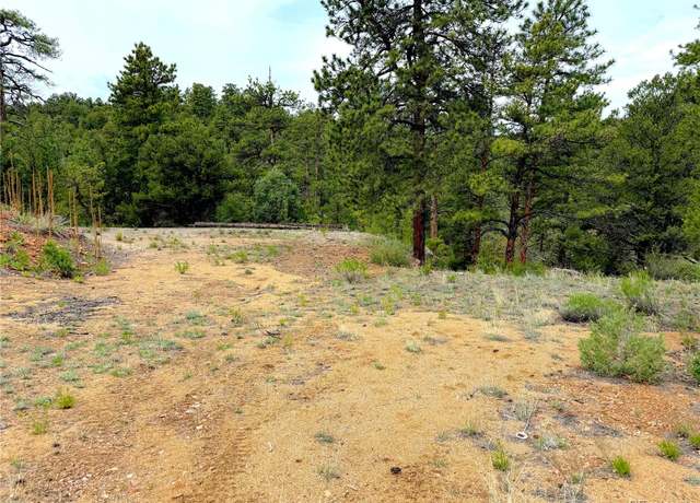 Property at Tbd County Road 28, Cotopaxi, CO 81223