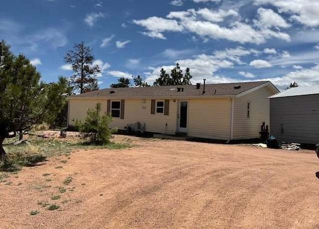 Property at 696 Calle De La Nieva, Florissant, CO 80816, 3 beds, 2 baths