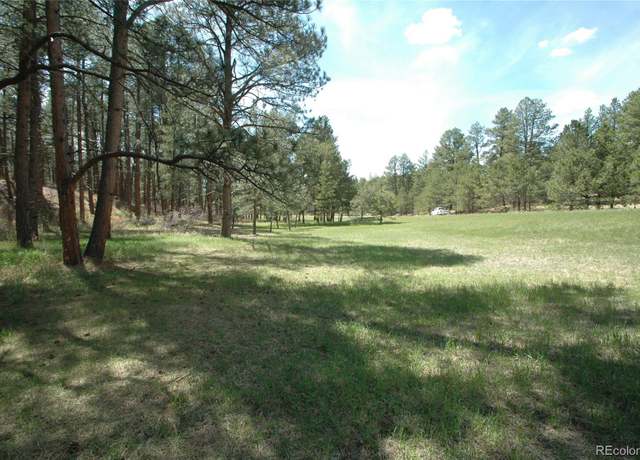 Property at 856 Woodridge Rd, Franktown, CO 80116
