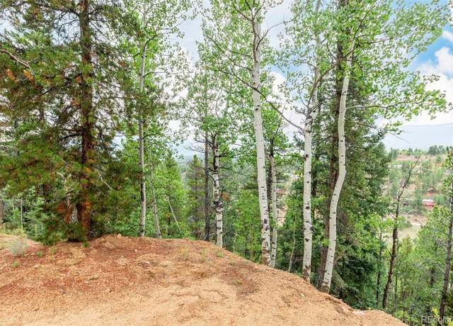 Property at 427 Wise Rd, Bailey, CO 80421