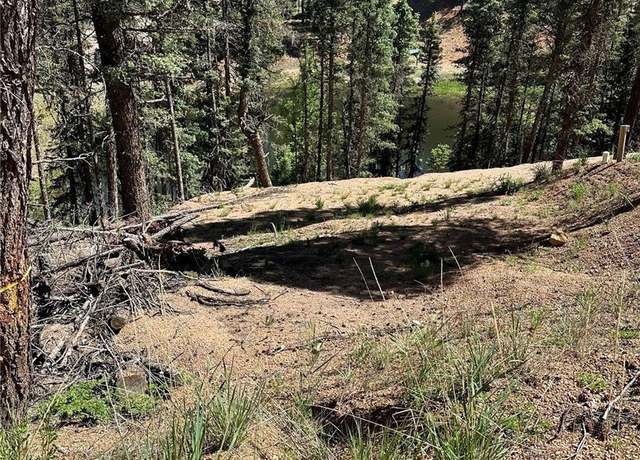 Property at 67 Gerka Ln, Florissant, CO 80816
