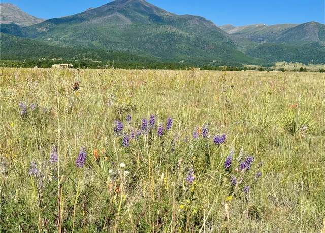 Property at 5151 County Road 160, Westcliffe, CO 81252