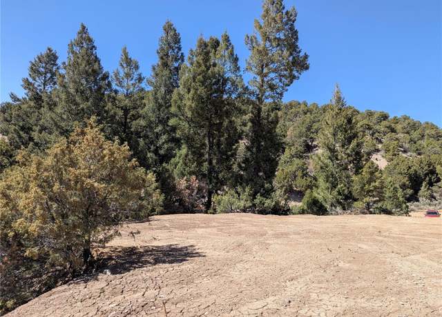 Property at Lot 1593 Jaidi Rd, Fort Garland, CO 81133