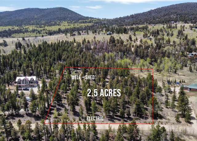 Property at 1667 Singletree Rd, Hartsel, CO 80449