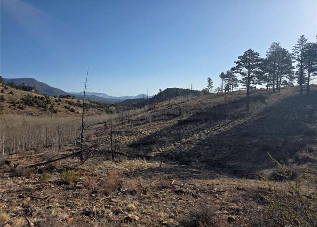 Property at 302 Rickel Cir, South Fork, CO 81154