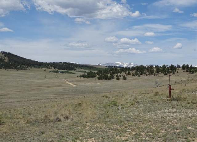 Property at 9164 Cr-15, Fairplay, CO 80440