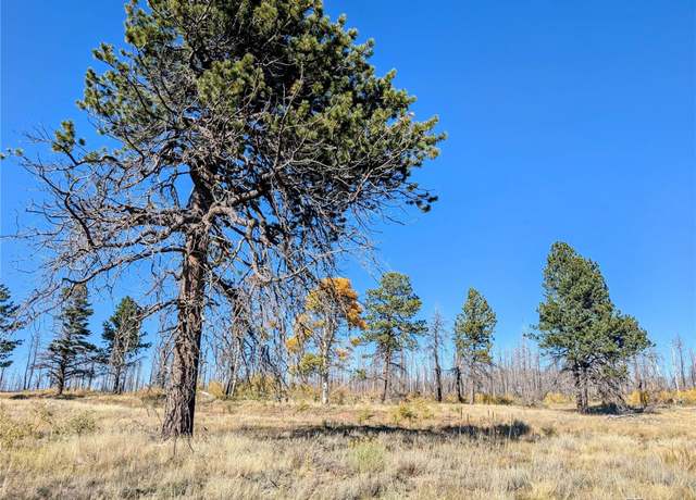 Property at Lot 1397 Emory Loop, Fort Garland, CO 81133