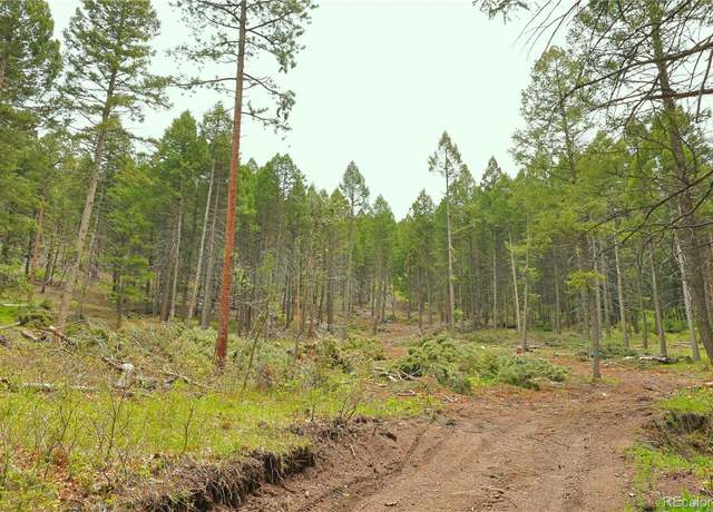 Property at 13114 Grey Hackle Dr, Larkspur, CO 80118