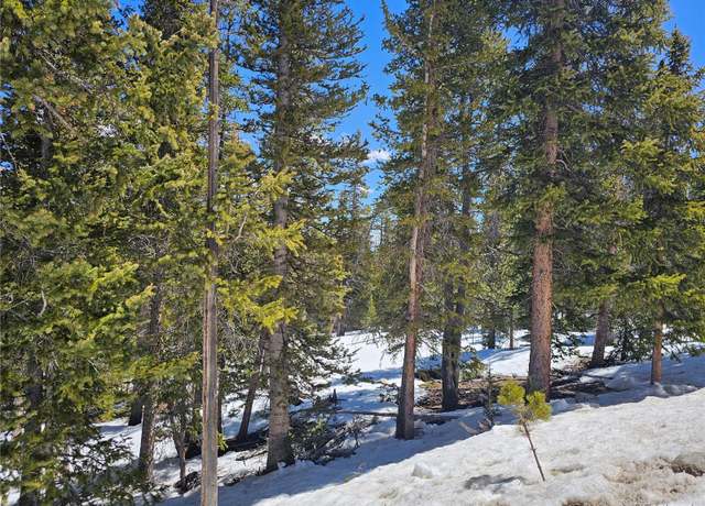 Property at 318 El Lobo Ln, Fairplay, CO 80440