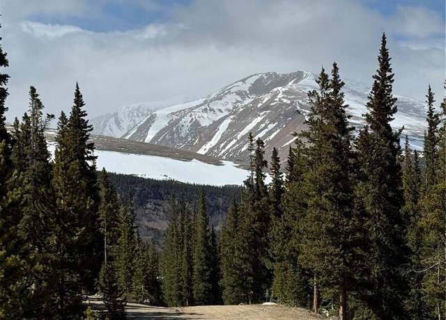 Property at 630 Silverheels Pl, Fairplay, CO 80440