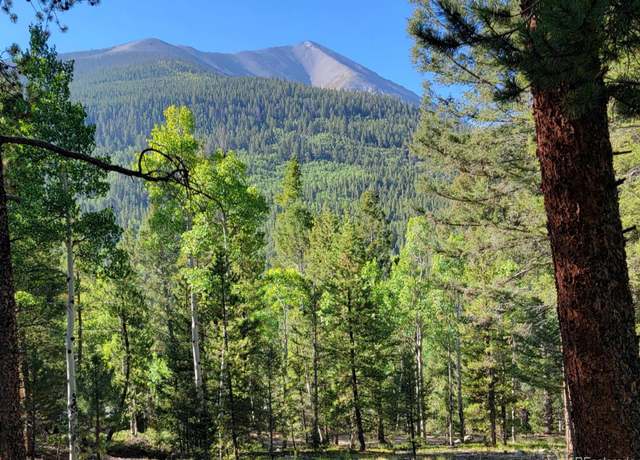 Property at County Road 292a, Nathrop, CO 81236