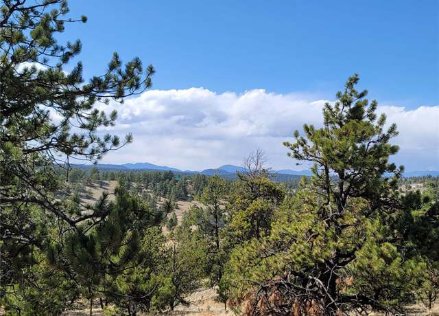 Property at 84 Victor Cir, Florissant, CO 80816