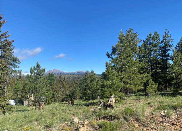 Property at Chubb, Buena Vista, CO 81233
