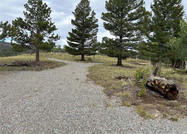 Property at 3826 Singletree Rd, Hartsel, CO 80449