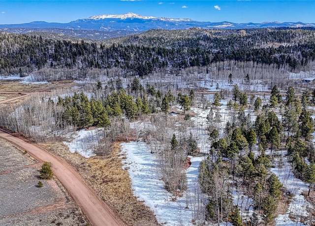 Property at 654 Aspen Way Dr, Florissant, CO 80816