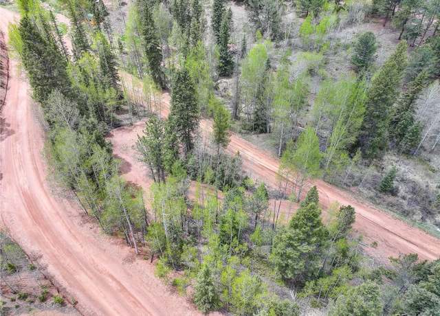 Property at 416 Willow Rd, Divide, CO 80814