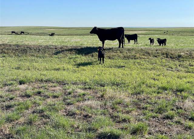 Property at 9 County Road 166, Deer Trail, CO 80105