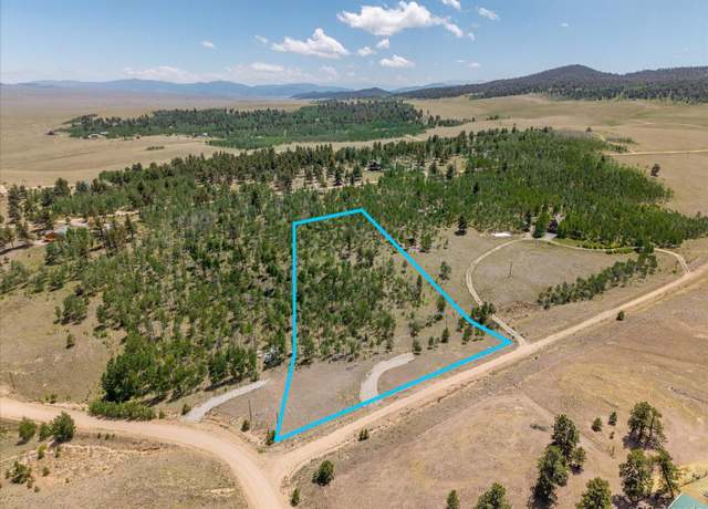 Property at 40 Brahma Ct, Hartsel, CO 80449