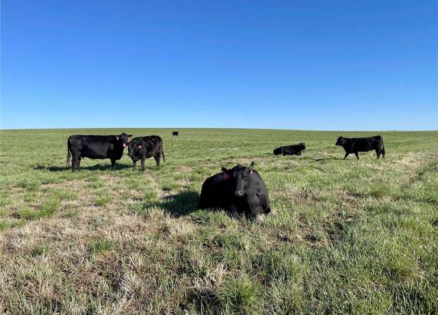Property at County Road 125, Deer Trail, CO 80105