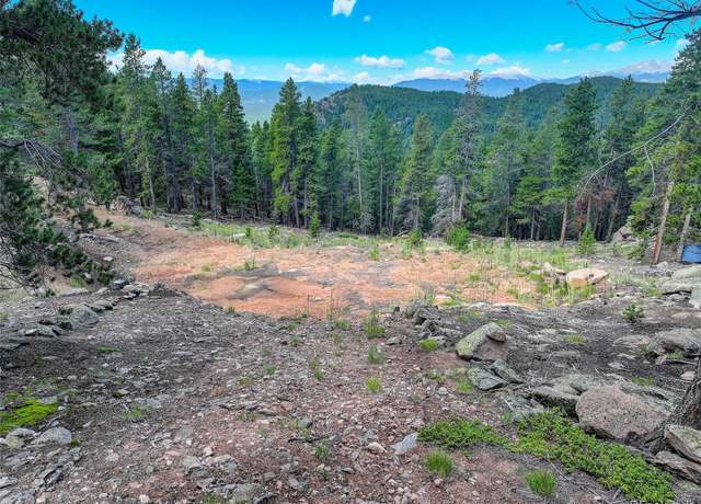 Property at 11275 Bear Run Trl, Conifer, CO 80433