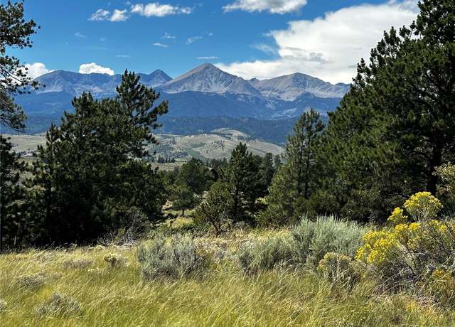 Property at 186 Flavin Ln, Fort Garland, CO 81133