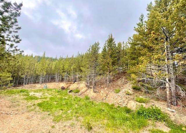 Property at 000 Alice Rd, Idaho Springs, CO 80452