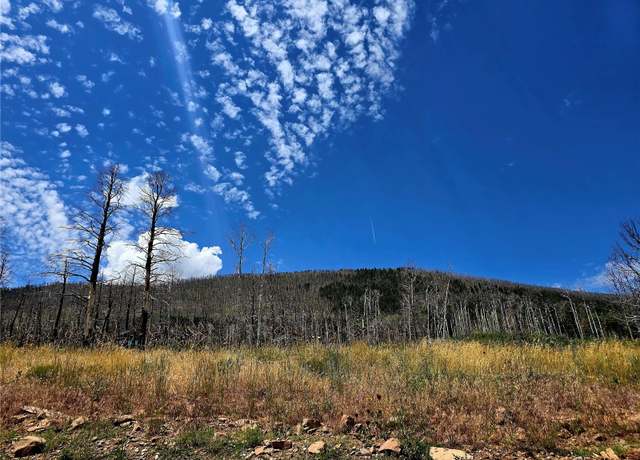 Property at Lot 2057 Forbes Park Rd, Fort Garland, CO 81133