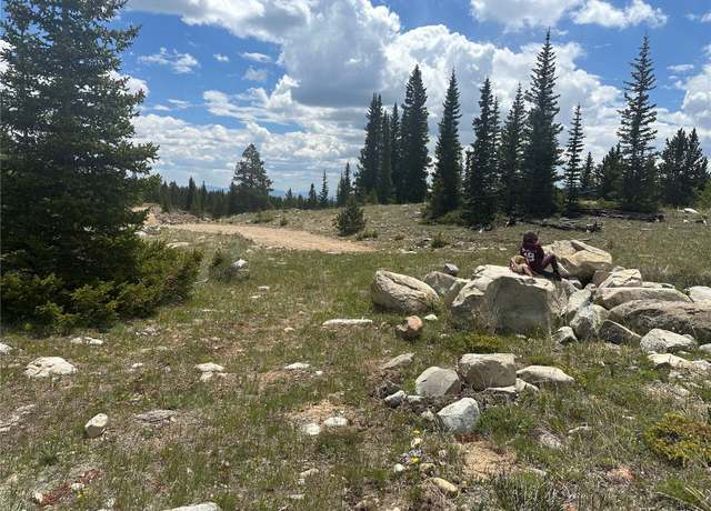 Property at 4 Timberline Trl, Fairplay, CO 80440