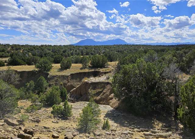 Property at 776 Rio Cucharas, Walsenburg, CO 81089
