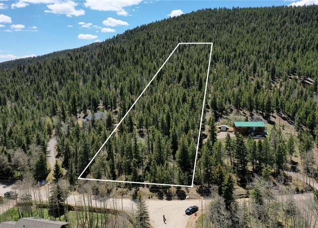 Property at 1008 S Pine Dr, Bailey, CO 80421