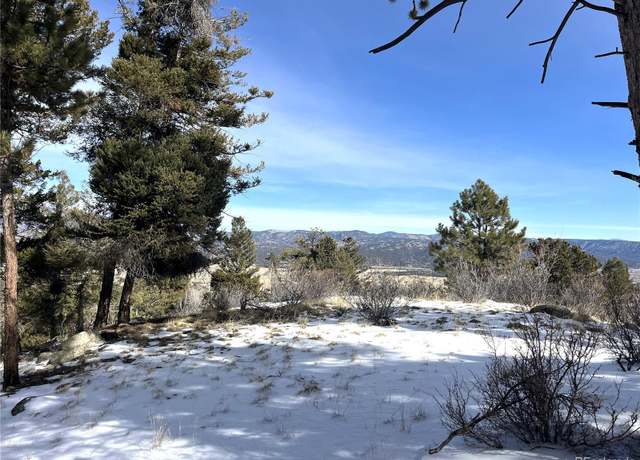 Property at 30175 Mountaintop Dr, Buena Vista, CO 81211