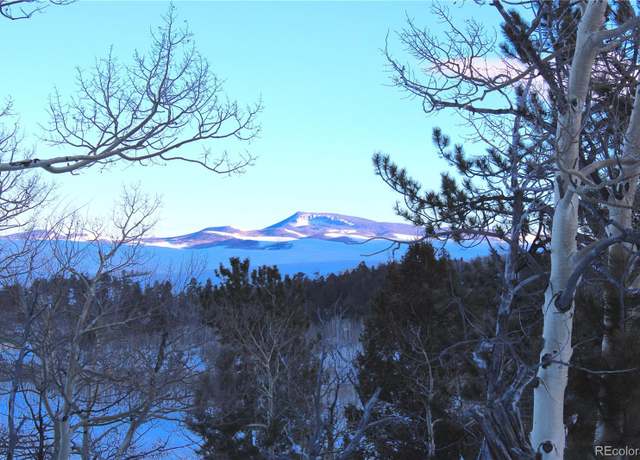 Property at 11414 Ranch Rd, Hartsel, CO 80449