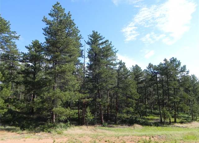 Property at 4485 Delaware Dr, Larkspur, CO 80118