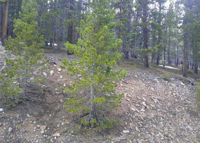 Property at Lot 417 Glory Hole Rd, Idaho Springs, CO 80452