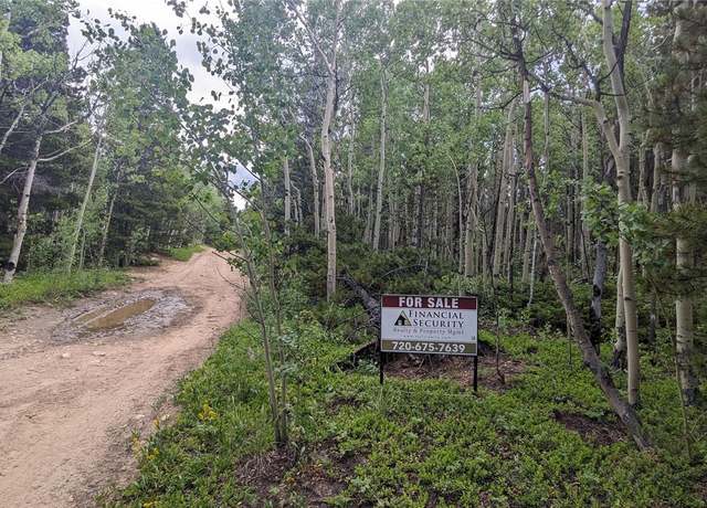 Property at TBD Roy Smith Rd, Central City, CO 80427