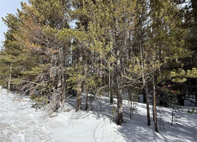 Property at Lot 105 Deer Rd, Idaho Springs, CO 80452