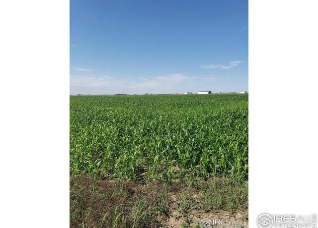 Property at 0 County Road 6, Wiggins, CO 80654
