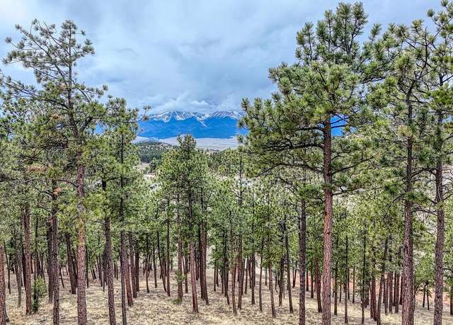 Property at Lot 43 S Ben Eaton, Westcliffe, CO 81252