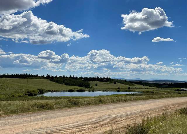 Property at 1957 Coil Dr, Fairplay, CO 80440