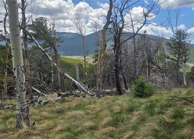 Property at Lot 2732 Grojean Dr, Fort Garland, CO 81133